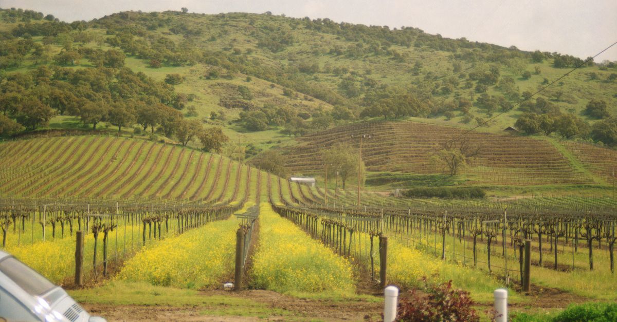 California Wine Country route inspiration
