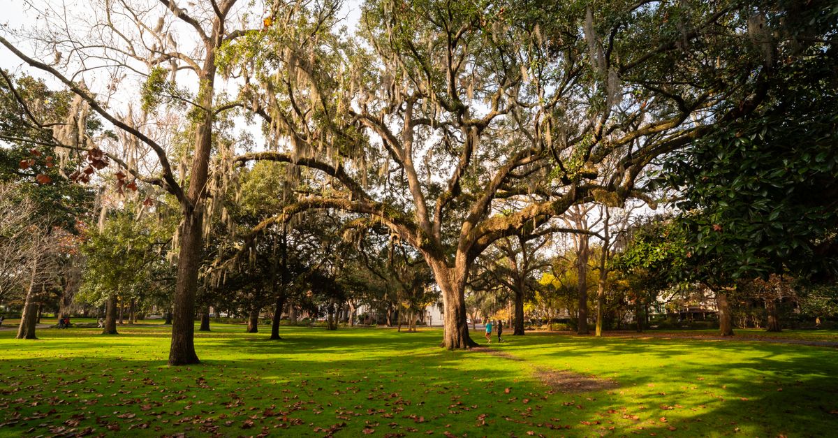 Forsyth Park near Savannah