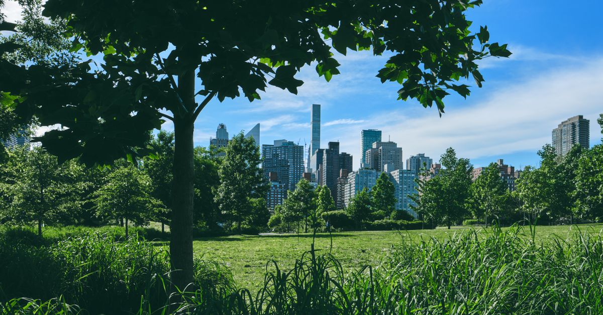 Central Park near Manhattan