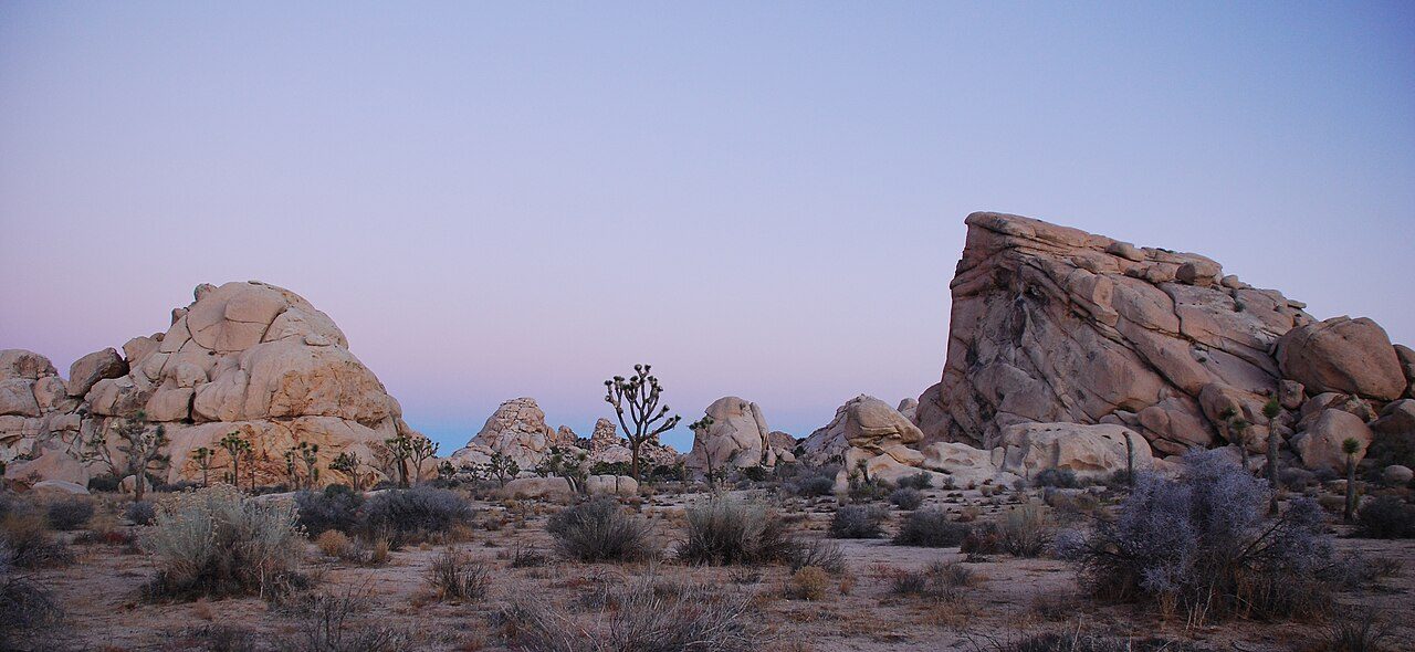Joshua Tree National Park near Joshua Tree