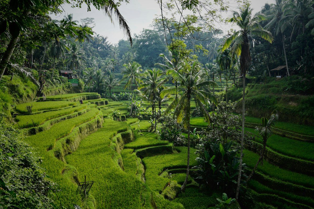Bali Island Loop route inspiration
