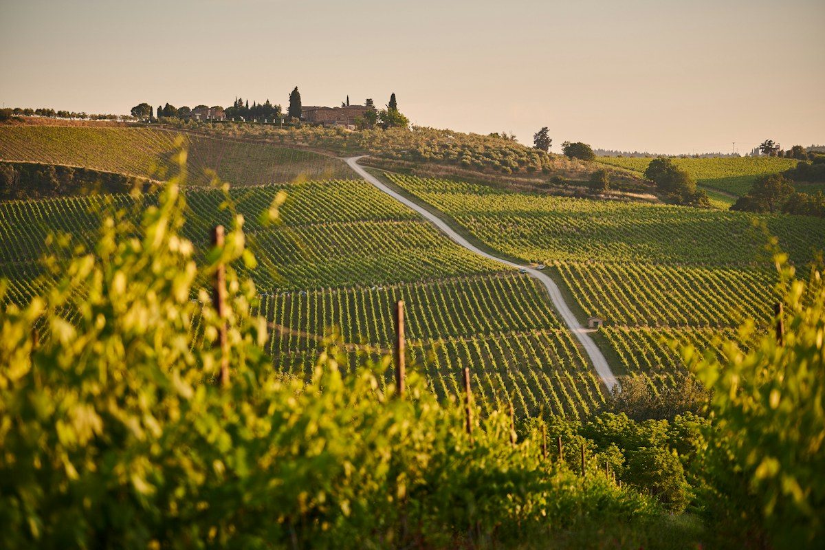 Chianti on the Tuscany Hill Towns route