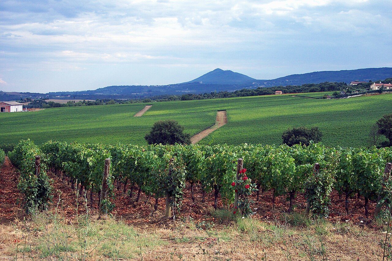 Montepulciano near Val d'Orcia