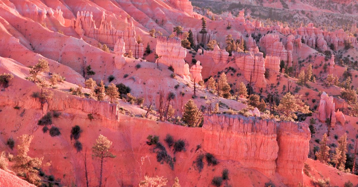 Sunrise Point near Bryce Canyon