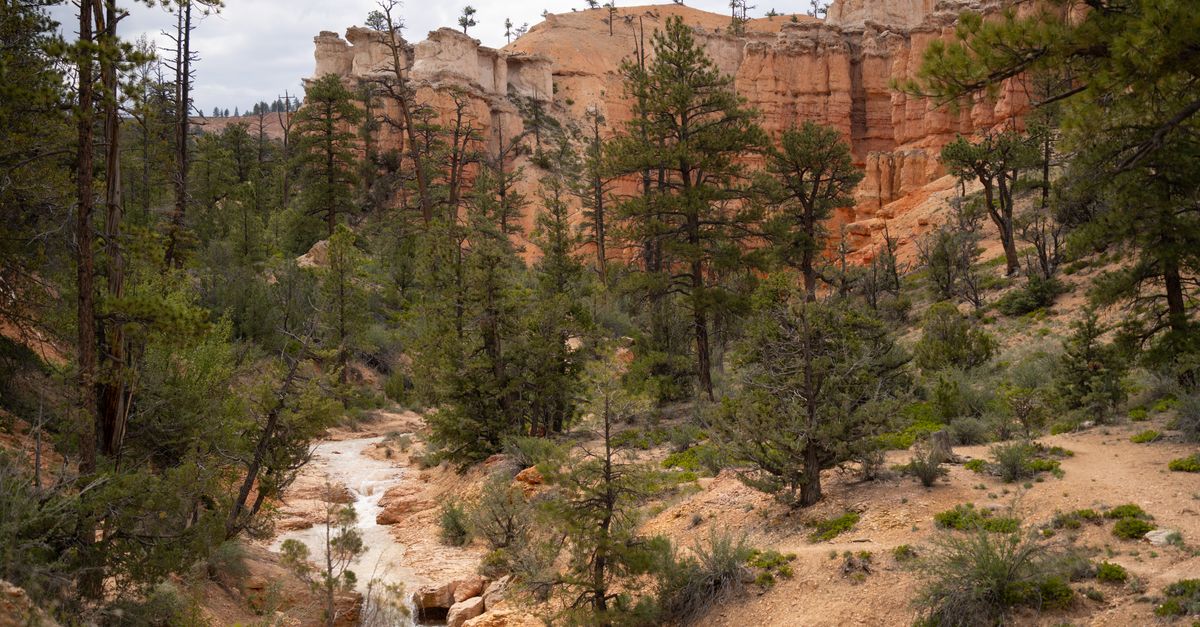 Navajo Loop near Bryce Canyon