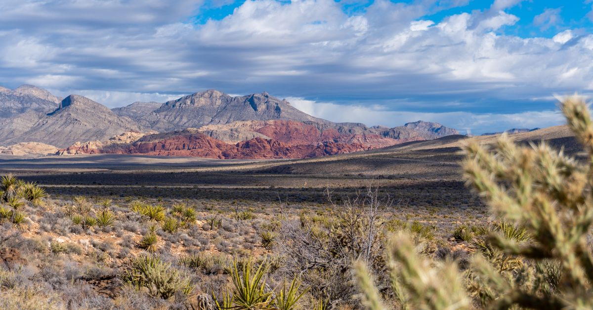 Red Rock Canyon near Las Vegas
